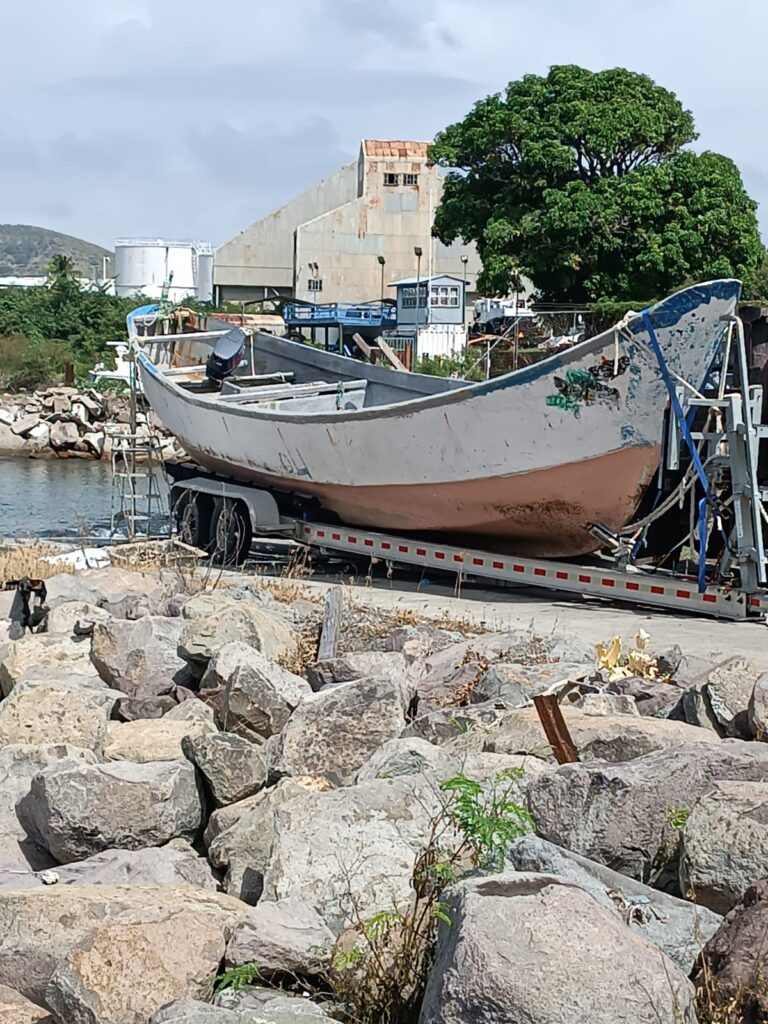 Investigation Launched into Deaths of 19 People Found on Drifting Vessel near Nevis