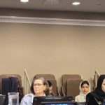 Hon. Isalean Phillip Represents [Country/Region] at CSW69 Ministerial Roundtable