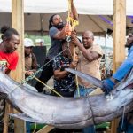 Record Revenue Growth in the St. Kitts and Nevis Fisheries Sector for 2024.