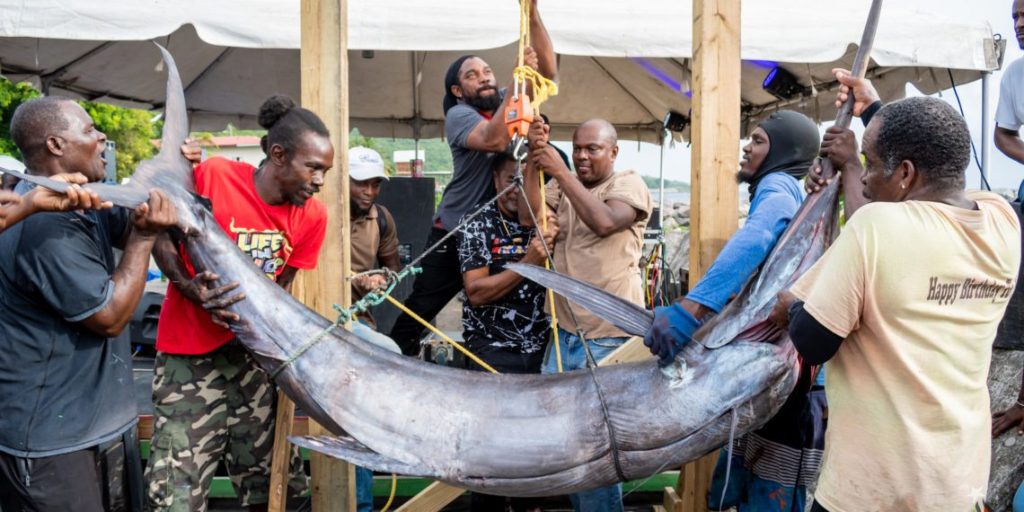 Record Revenue Growth in the St. Kitts and Nevis Fisheries Sector for 2024.