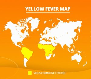 Ministry of Health Issues Yellow Fever Vaccination Guidance