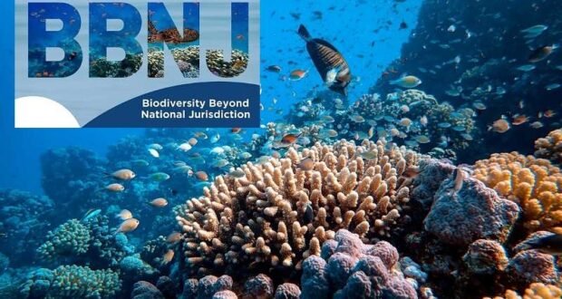 UN Hosts Preparatory Commission for BBNJ Treaty Implementation