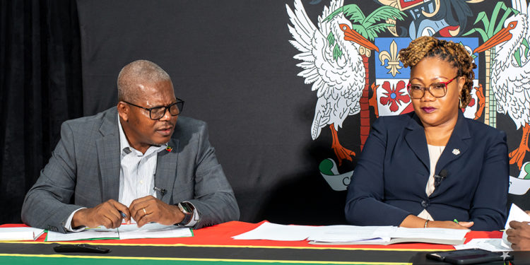 Equitable and Sustainable Contributions to the New Pension Plan