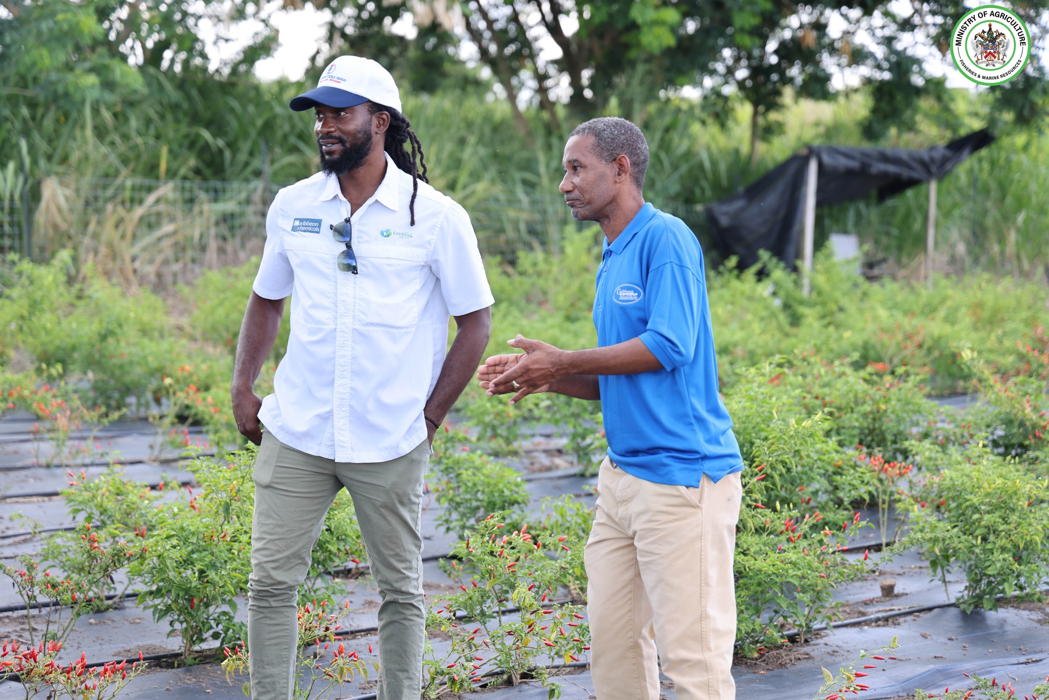 Department of Agriculture Promotes Sustainable Farming Practices at St. Kitts Field Seminar