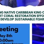 Sustainable King Crab Aquaculture for Coral Reef Restoration and Fisheries in St. Kitts