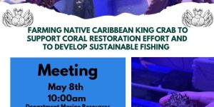 Sustainable King Crab Aquaculture for Coral Reef Restoration and Fisheries in St. Kitts