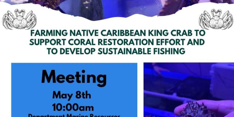 Sustainable King Crab Aquaculture for Coral Reef Restoration and Fisheries in St. Kitts