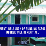 Comment: Relaunch of Nursing Associate Degree will Benefit All