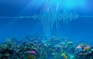Seismic Activity Continues Near Basseterre, St. Kitts, Following a 3.7 Magnitude Quake
