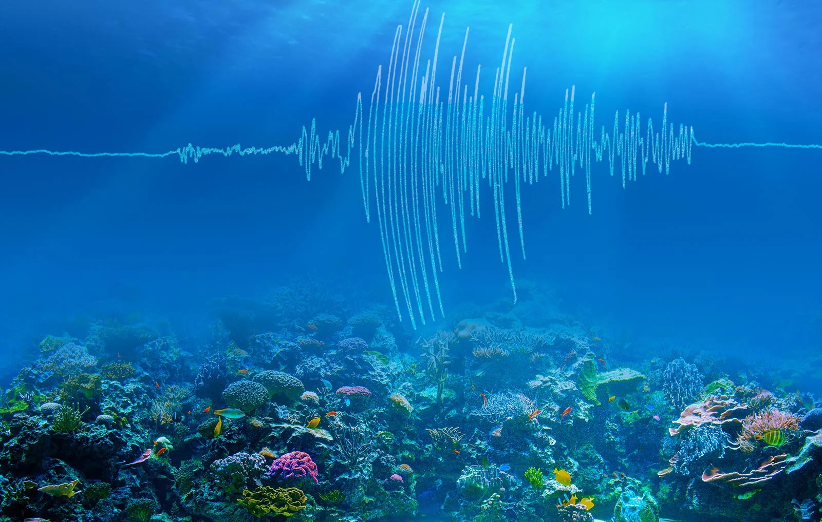 Seismic Activity Continues Near Basseterre, St. Kitts, Following a 3.7 Magnitude Quake