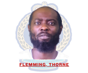 Thorne Flemming Indicted on Firearms and Ammunition Charges