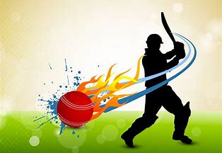 Community Cricket