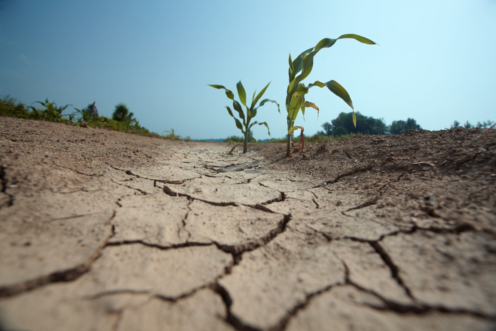 NDMD Designates May as Drought Month