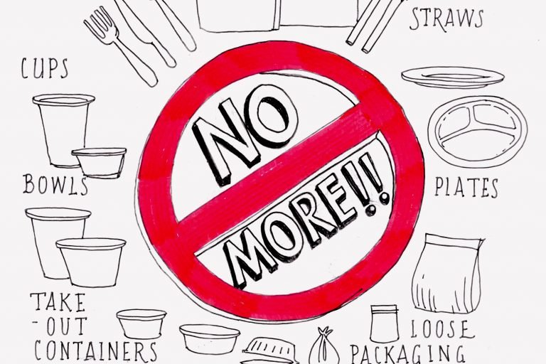 Implementation of Phase 2: Federal Ban on Single-Use Plastics Commences in St. Kitts and Nevis