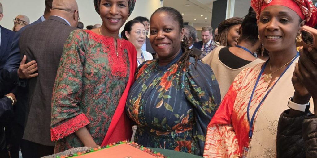 Federation of Saint Kitts and Nevis Engages in 2025 Africa Dialogue Series and UN Africa Day Commemoration