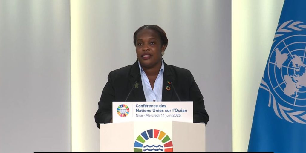 Hon. Clarke Addresses UN Ocean Summit with Powerful Statement on Small Island Developing States