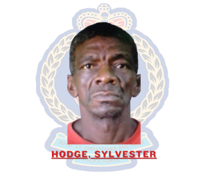 Sylvester Hodge Receives Sentence for Petty Theft