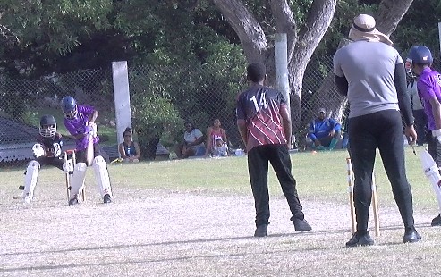Primary School Cricket Team A Triumphs in All-Star Match