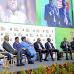 Prime Minister Drew Advocates for Visa-Free Travel to Bolster AFRI-Caribbean Trade and Investment