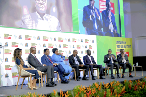 Prime Minister Drew Advocates for Visa-Free Travel to Bolster AFRI-Caribbean Trade and Investment