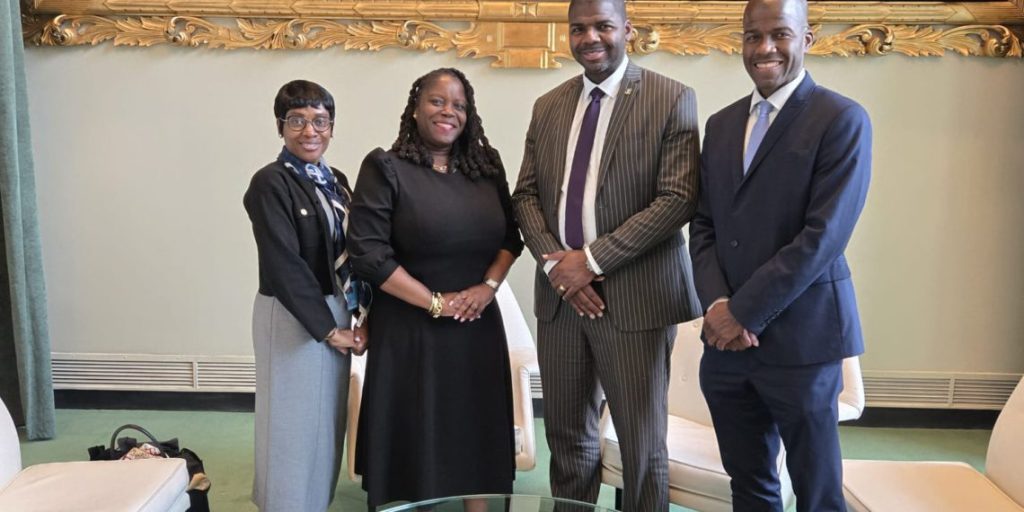 Saint Kitts and Nevis Advocate for British Virgin Islands’ Self-Determination at UN Decolonization Committee Session.