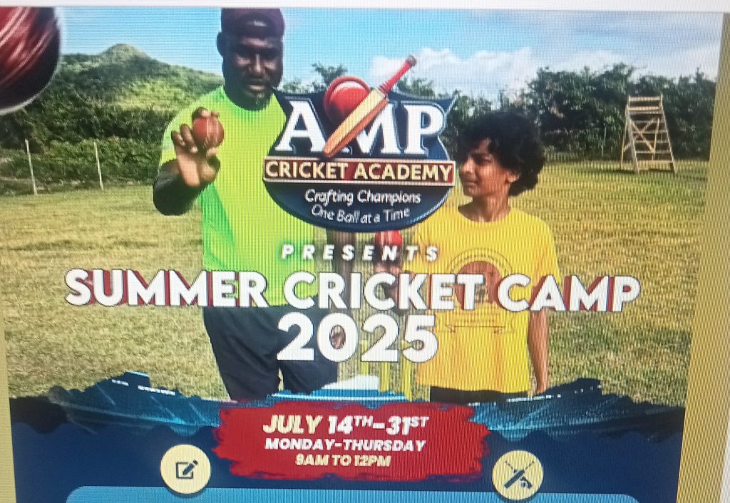 Formal options:

Youth Summer Cricket Camp (If geared towards younger players)
Summer Cricket Training Program 
Summer Cricket Skills Development Camp
