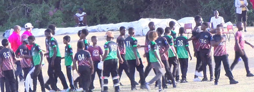 Primary Schools Cricket Tournament Continues with Thrilling Matches