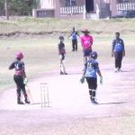 Primary Schools Cricket Tournament Update