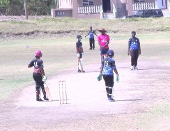 Primary Schools Cricket Tournament Update
