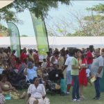 Record Attendance at Nevis Mango Festival Fuels Significant Economic Growth