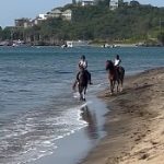 Nevis Equestrian Centre Hosts Thrilling Horse Race