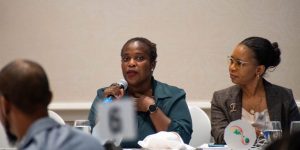 Collaborative Initiatives for Sustainable Development: A Luncheon Dialogue