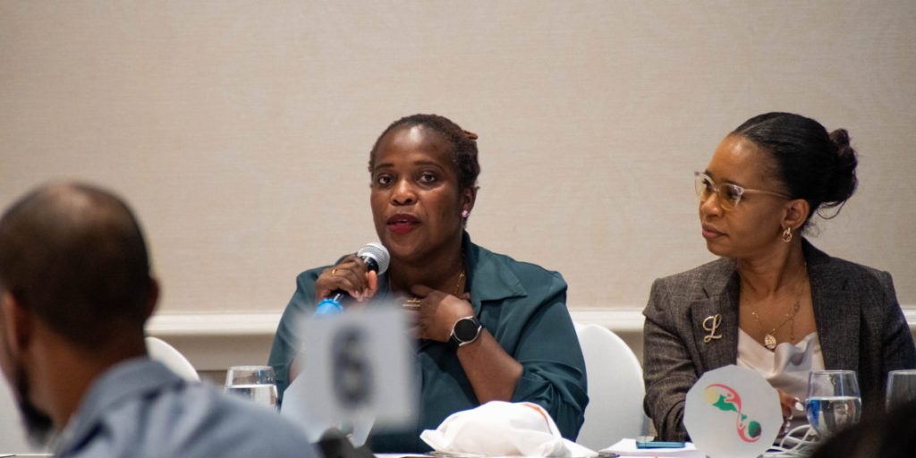 Collaborative Initiatives for Sustainable Development: A Luncheon Dialogue