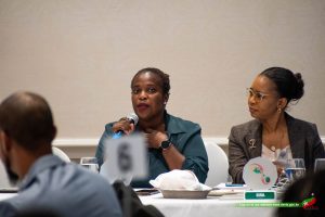 Collaborative Initiatives for Sustainable Development: A Luncheon Seminar