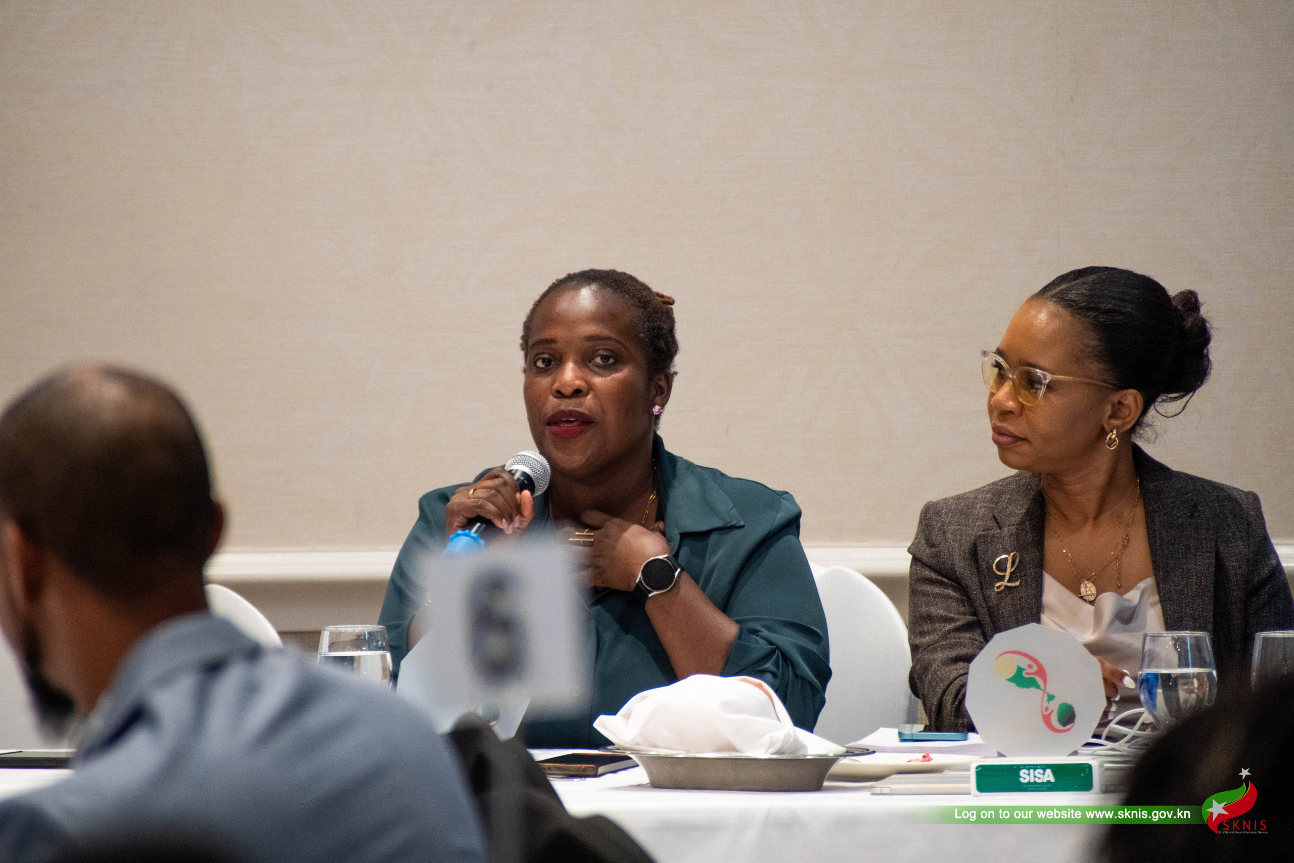 Collaborative Initiatives for Sustainable Development: A Luncheon Seminar
