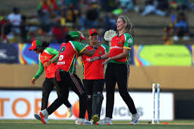 Penfold and Taylor Lead Warriors to Cricket Finals